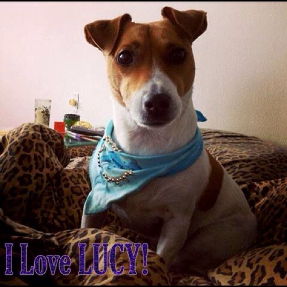 Doggie bandannas