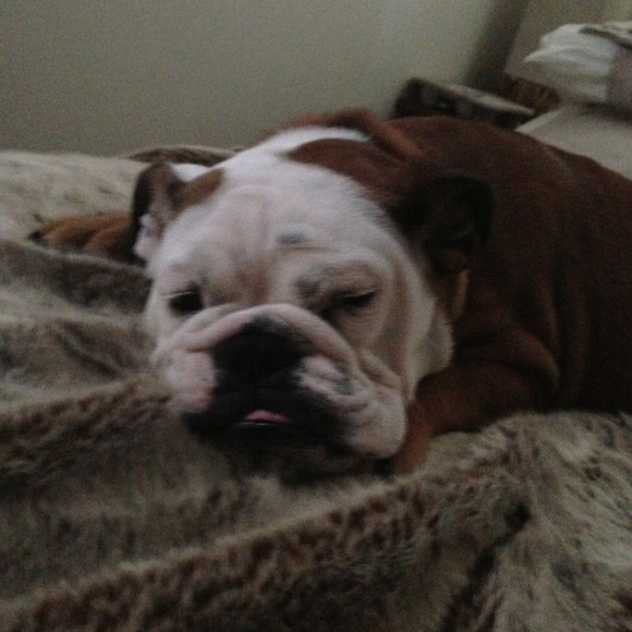 Meet Stella ;)