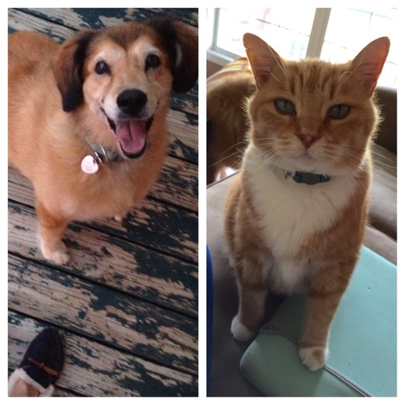 Meet your seller/buyer! - Picture 4 of 4