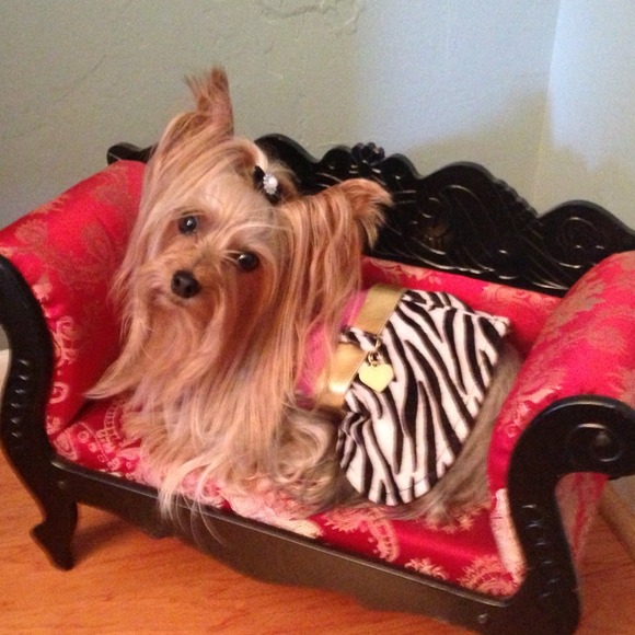 ✋SOLD✋Dog Fashionably Fierce Dress - Picture 2 of 4
