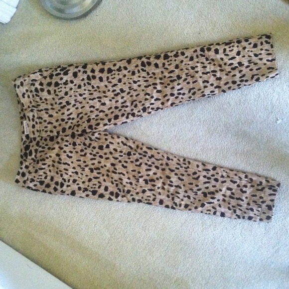 Cheetah Print Pants - Picture 3 of 4