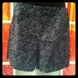 Ann Taylor LOFT 4in Shorts