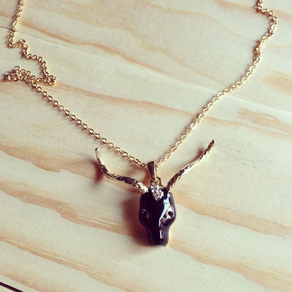 Jewelry - Antler necklace
