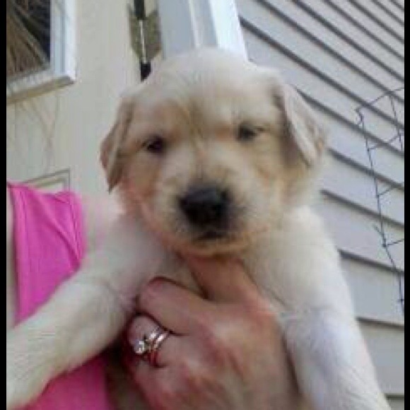 Our Newest Addition - Picture 3 of 4
