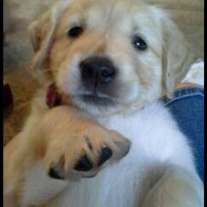 Our Newest Addition