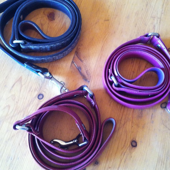 ~SOLD~COACH DOG LEASH (3 available)