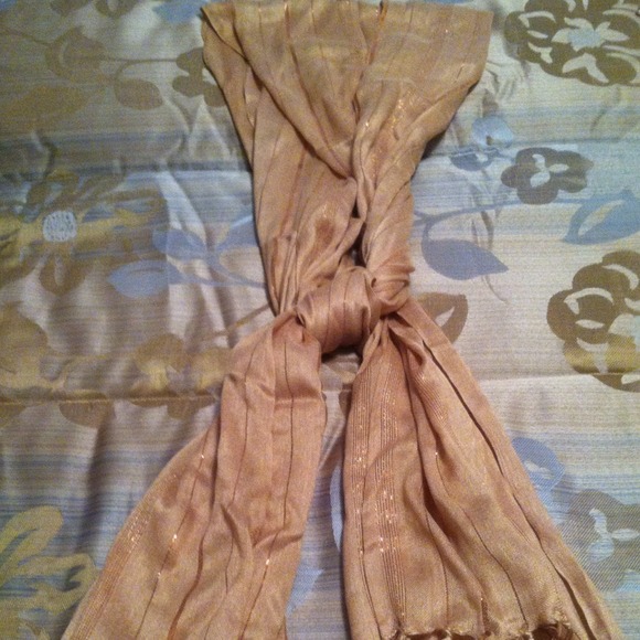 Taupe Scarf with Brown Stripe