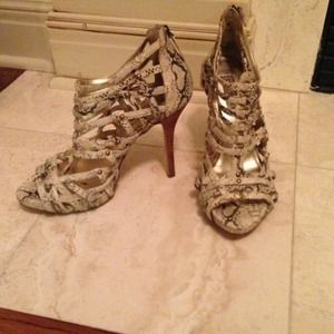 Steve Madden python heels.