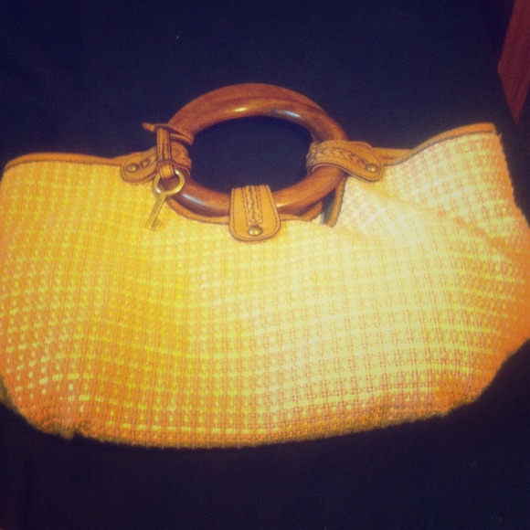 Fun fossil purse