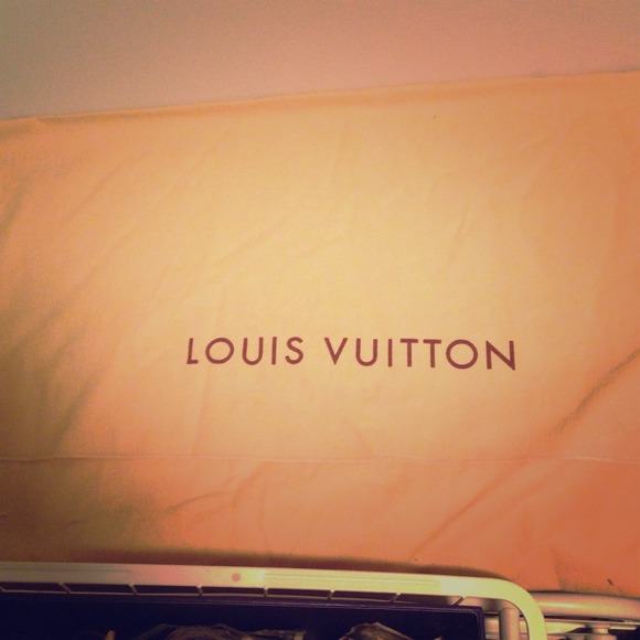 Large Louis Vuitton dust bag