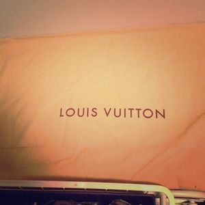 Large Louis Vuitton dust bag
