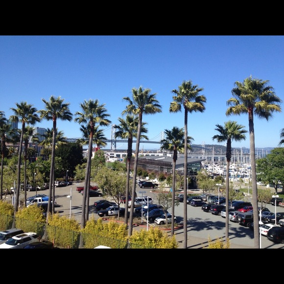 Are you in or near the Bay Area? - Picture 4 of 4