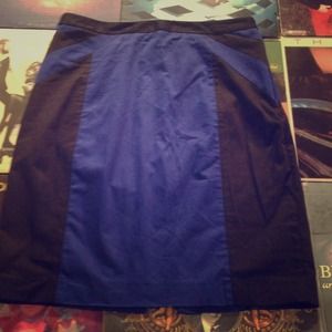 Express Pencil Skirt