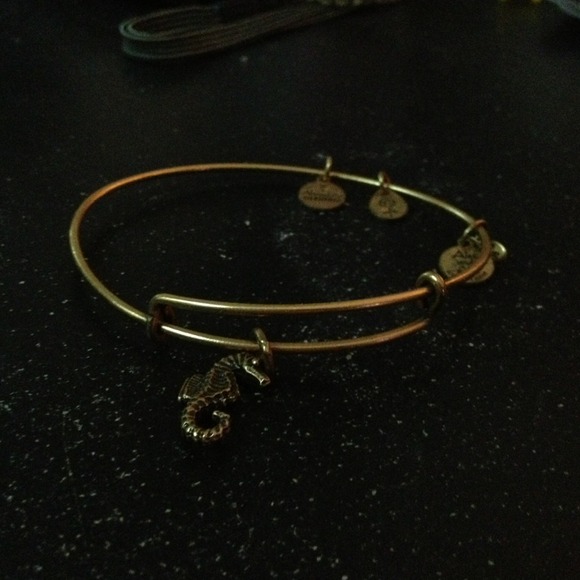 Seahorse Alex and ani
