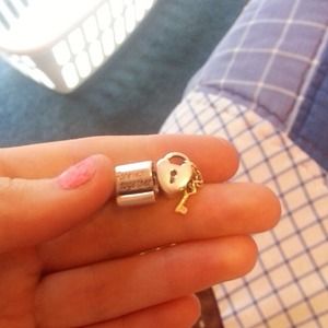 Pandora charms