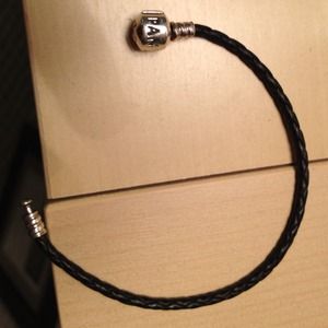 Pandora bracelet plus nursing book