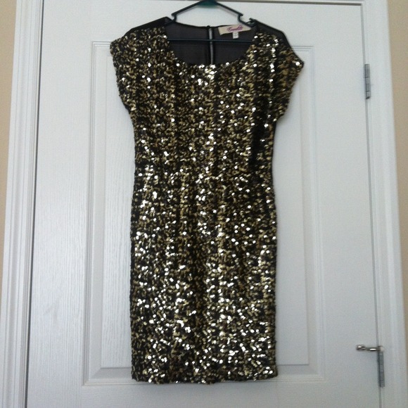 ❌❌SOLD❌❌Sequin Dress- Large