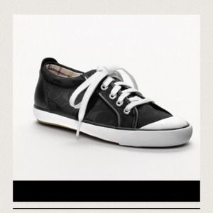 New in box Coach Barrett Sneaker 7,5