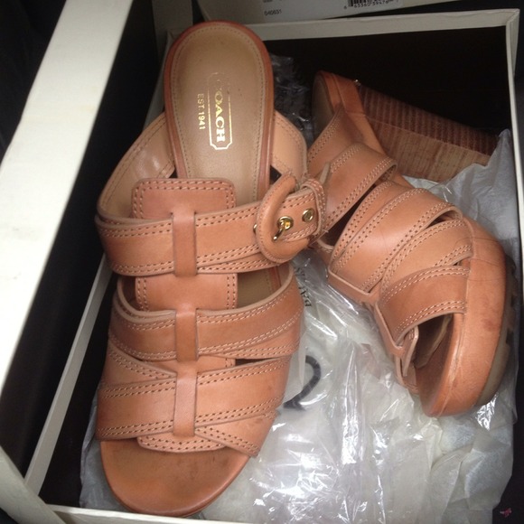 Coach shoes