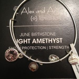 Alex and Ani June Amethyst with June Birthstone