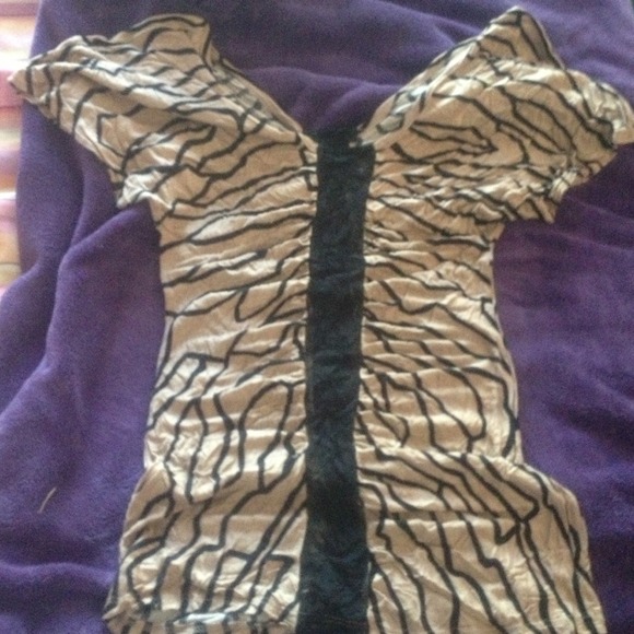 Dressy Shirt.
