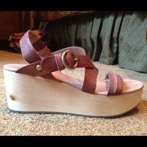 🎀Reduced🎀Fossil wooden wedges 🌺