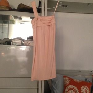 Pink silk Walter dress