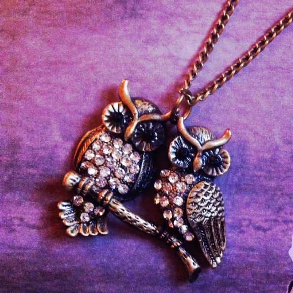 Jewelry - Twin jeweled Owl Necklace
