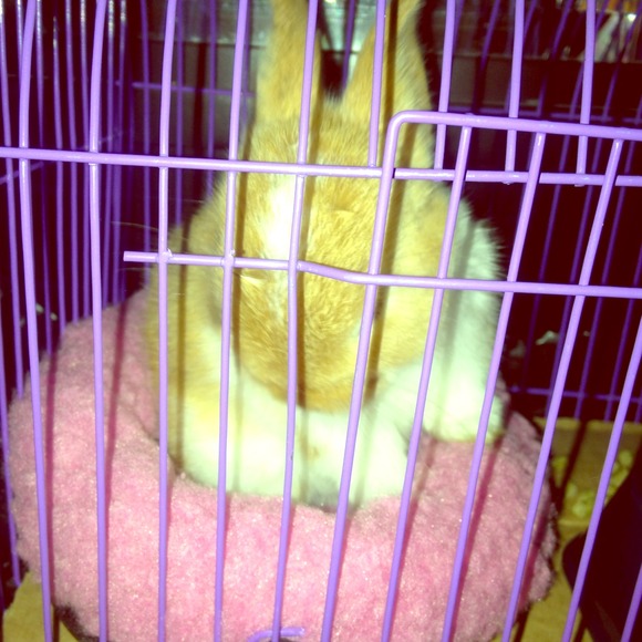 Look What I Adopted <3