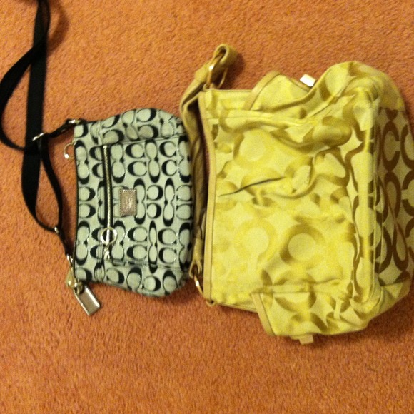 Coach purses