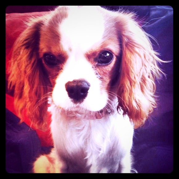 Sharing a Special Love💗💗💗💗