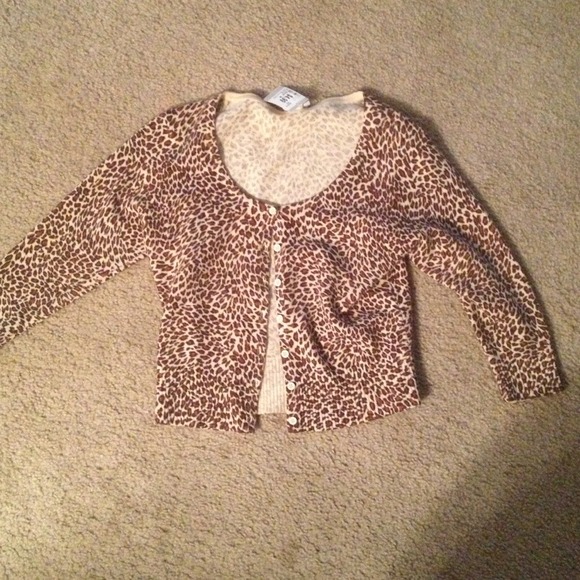 cardigan