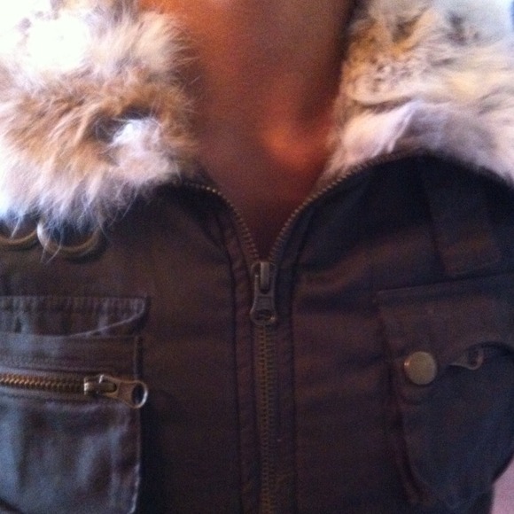 Jacket - Picture 4 of 4