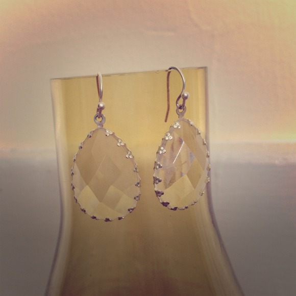 Pretty American Eagle earrings