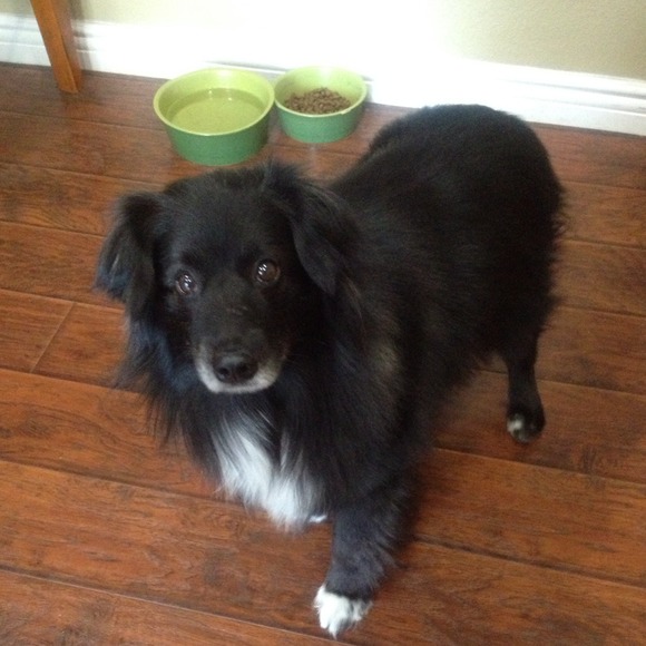 Sorry ladies but I have to leave posh