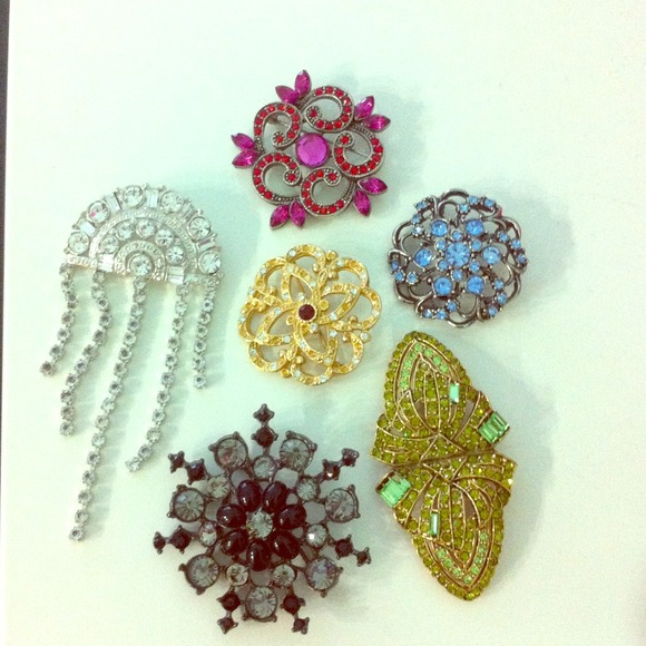 🌟SOLD🌟 Brooches Galore!