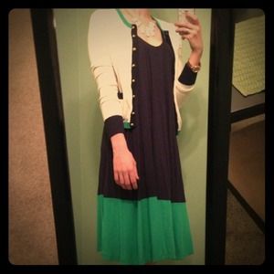 The Webster ColorBlock Dress