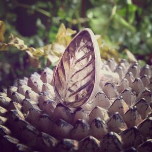 Sterling Silver Carved Lemon Quartz Leaf Ring-Sz 8