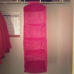 Hot Pink Hanging Shelf Closet Organizer