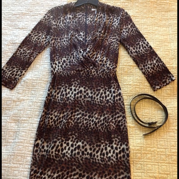 Animal Print (Leopard) Print Surplice Dress