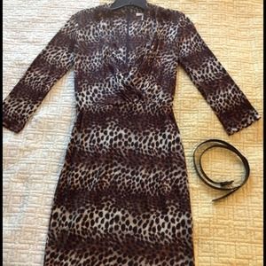 Animal Print (Leopard) Print Surplice Dress