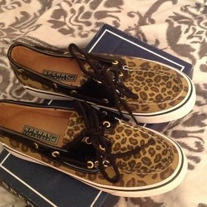 Leopard sperrys