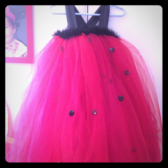 Ladybug Tutu dress