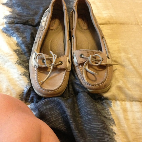 Angelfish sperry's