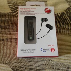 Hi-Fi Wireless Headset