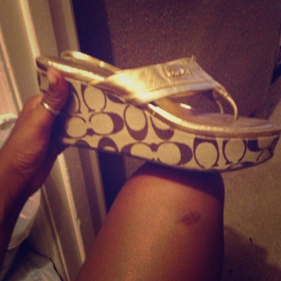 Size 7 Coach Flip Flops