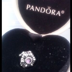 110% genuine Pandora charm,purple birthday blooms