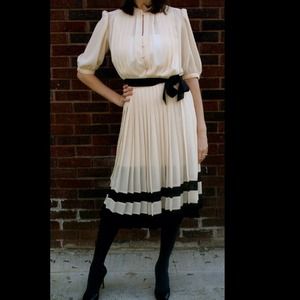 Vintage sheer pleated dress