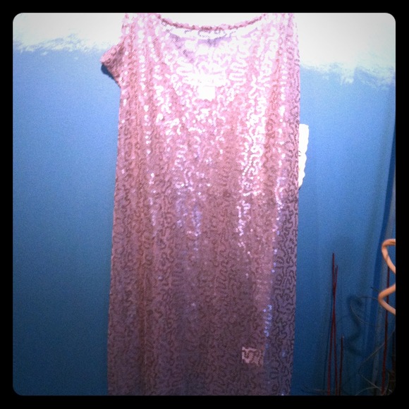 NWT silver tank