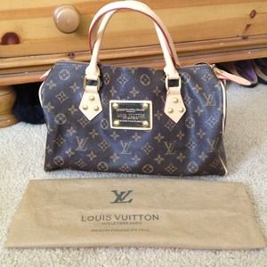 Louis Vuitton small handbag
